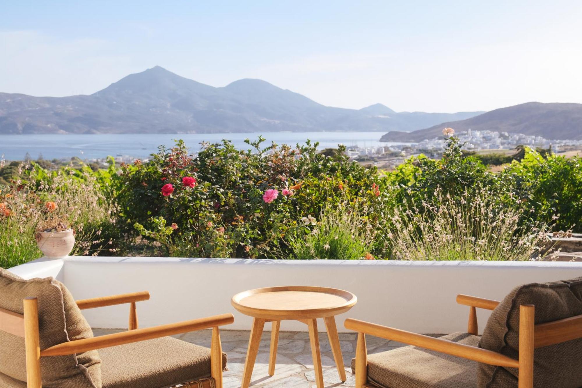 Iliana Olive Branch Apartment Adamantas  Ngoại thất bức ảnh
